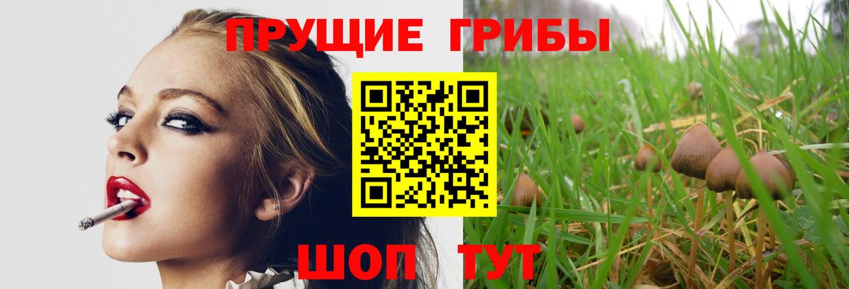 Псилоцибиновые грибы GOLDEN TEACHER  купить   Вход с VPN  Нурлат  Галлюциногенные грибы MAGIC MUSHROOMS 