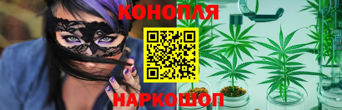 Бошки марихуана конопля Нурлат